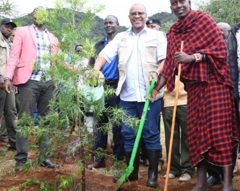 Kenya’s Ambitious Plan to Plant 15 Billion Trees by 2032