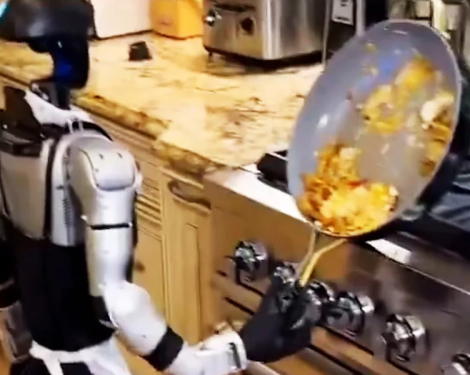 Humanoid Robot Loses Grip on Frying Pan, Turns Cooking Into Comedy Show