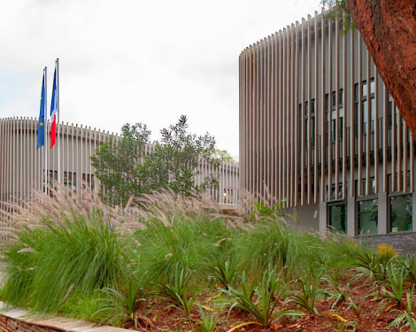 Kenyan Graduates Invited to Teach in France Through Embassy Initiative