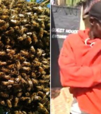 Panic in Limuru Market as Swarm of Bees Causes Chaos and Injuries