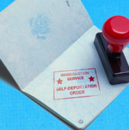 How US Citizens Can Respond to Mistaken Deportation Notices from Authorities