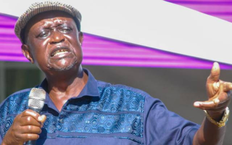 Senator Oburu Defends Ruto-Raila Alliance, Criticises ODM Dissenters