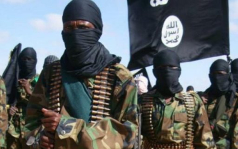 Al-Shabaab Resurgence Raises Security Concerns in Northern Kenya and Coastal Regions