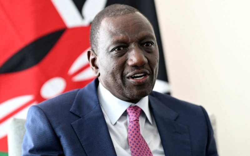 Kenyan-Canadian Businesswoman Sues Ruto Administration Over Botched Digital Propaganda Deal