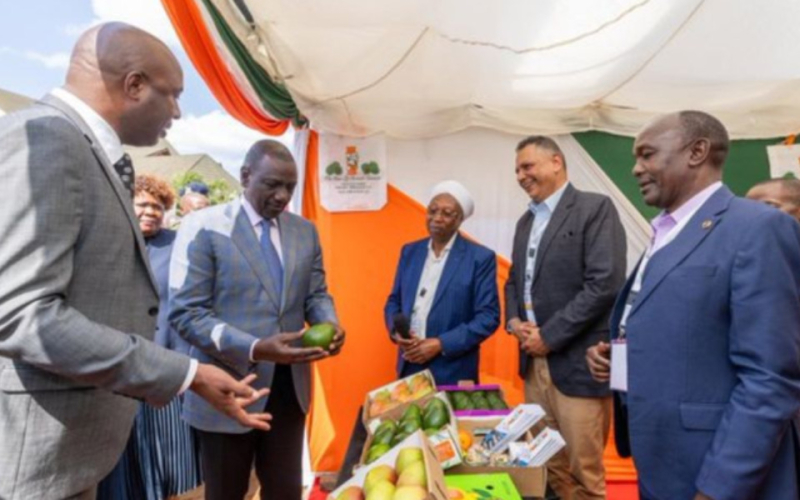 Murang’a County to Establish Export Processing Zone to Attract Investors