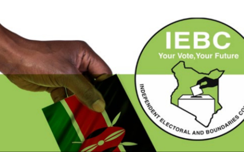 Petitioners Seek to Void IEBC Appointments Made in Defiance of Court