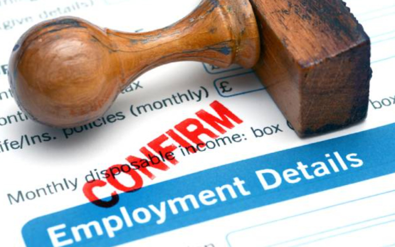 Working in the US: Here’s Why Foreign Workers Must Register With E-Verify+