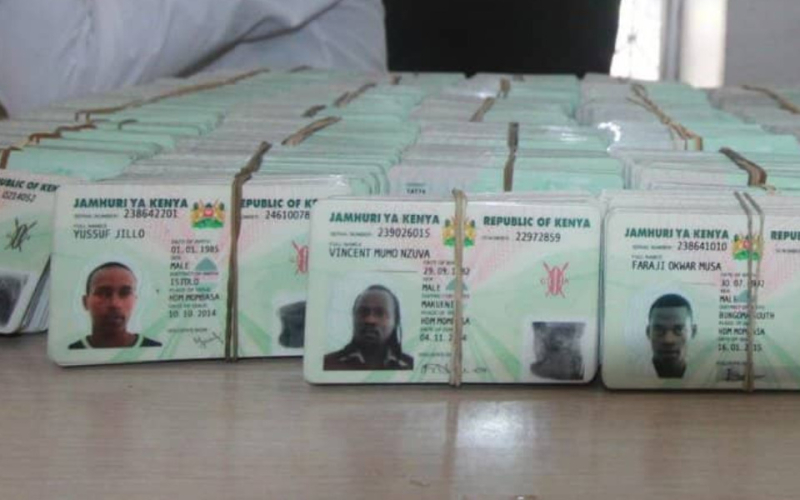 Kenyan High Court Upholds Citizenship Rights for Children of Mixed-Status Parents
