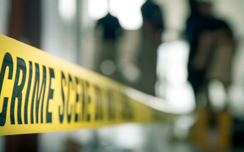 Househelp Confesses to Killing Naivasha Medic, Body Found Buried in Shallow Grave