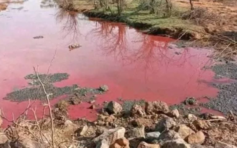 Why Lake Bogoria’s Waters Suddenly Turned Red