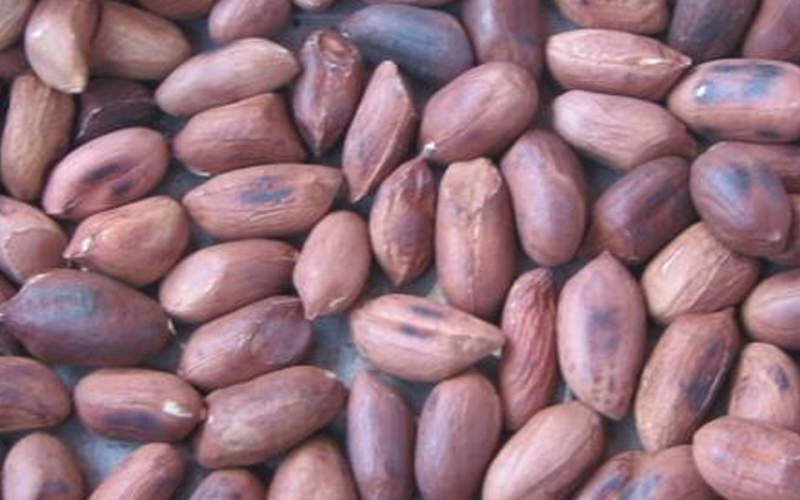 KEBS Cracks Down on Uncertified Goods in Karen, Ngong, and Kiserian