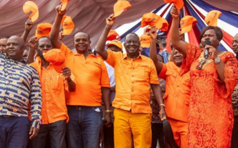 ODM Postpones Busia County Delegate Elections