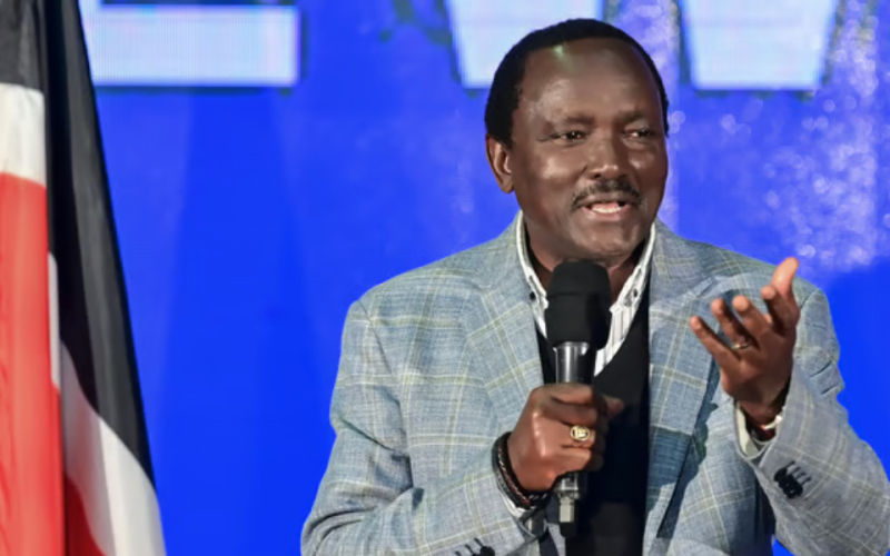 Kalonzo Musyoka Denies Fake AU Appointment Post Circulating Online