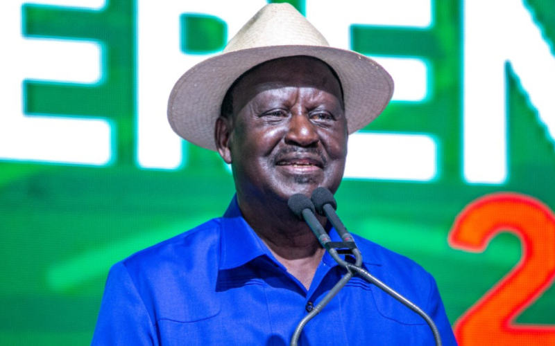Let Counties Work, Raila Tells Senate Over Governor Summonses