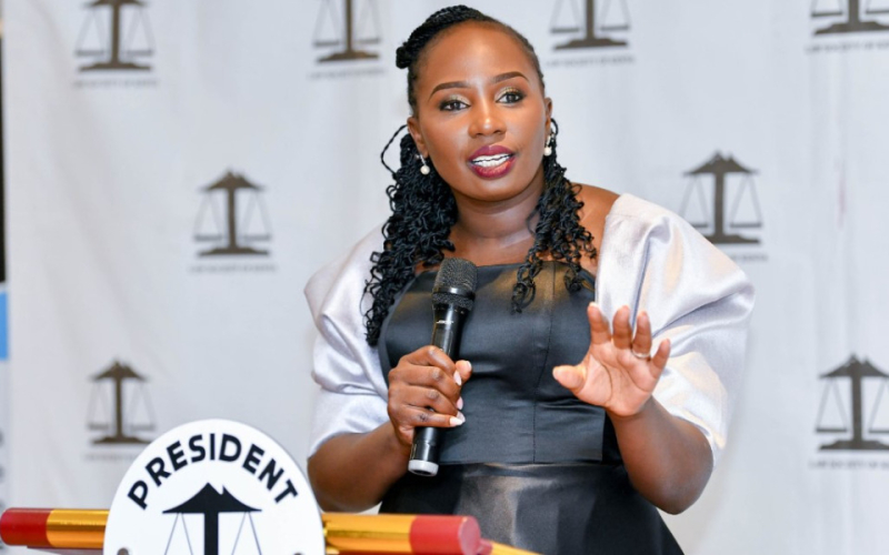 Faith Odhiambo Defends Role in Protest Victims Panel