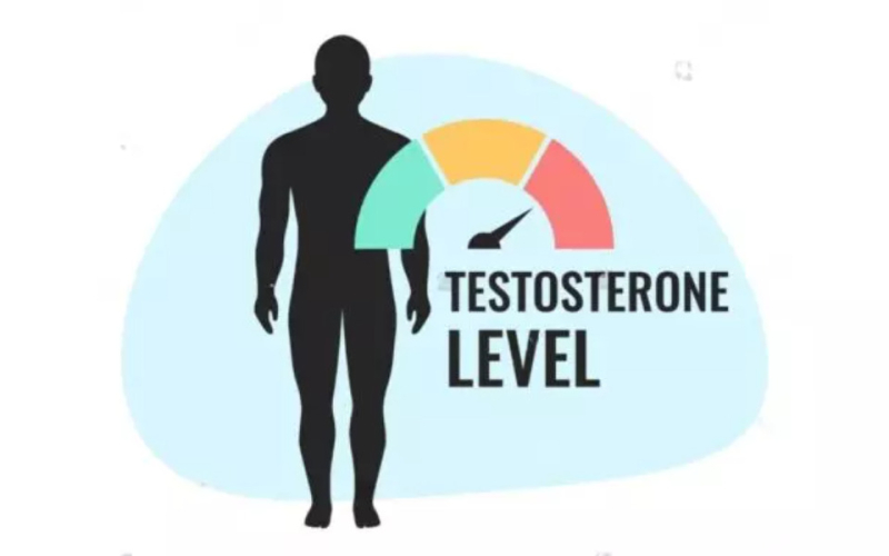 Low Testosterone in Young Men: Why You're Always Tired and Gaining Weight