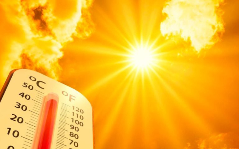 Extreme Heat Halts Daily Life Across Northern Kenya
