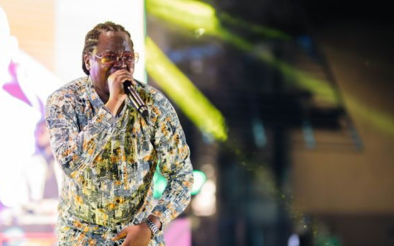 Jua Cali and Mwanahamisi Hamadi Among Recipients of State Honours