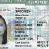 Results of the US Green Card Lottery 2026 (DV-2026) Now Available Online