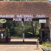 KWS Plans Free Entry to Parks for Elderly, Children, and Registered Guides