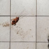 Woman’s Attempt to Burn Cockroach Triggers Apartment Fire in South Korea