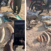 Five Arrested as KWS Seizes Elephant Ivory in Turkana and Namanga