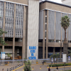 Diaspora Remittances Drop 3.8% in January, CBK Reports