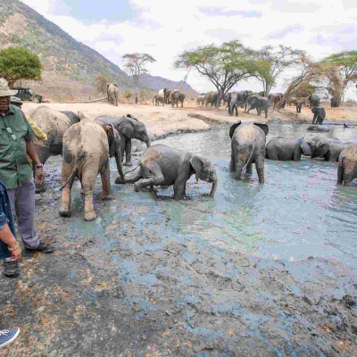 President Uhuru Takes On a Safari Ahead of Supreme Court Election Petition Ruling