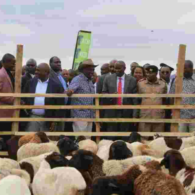 DP William Ruto Carries Sh10 Million in a Bag to Kajiado Goat Auction 