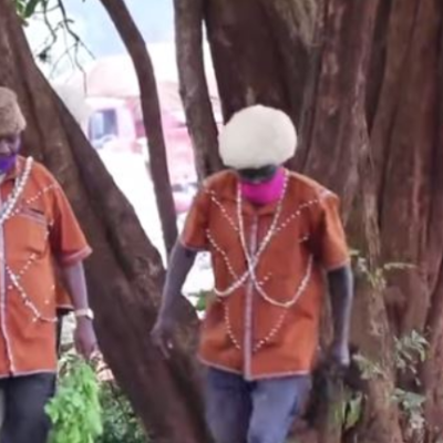 Kikuyu Elders Beg Trees to Accept Being Cut to Pave Way for Road Construction