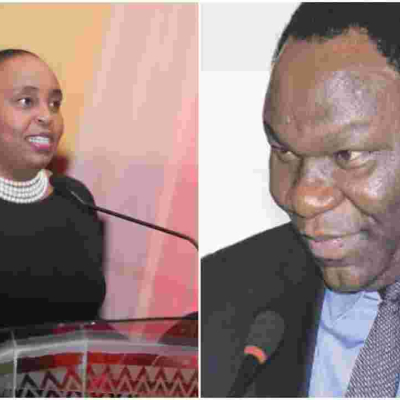 Nyeri Deputy Governor Caroline Karugu, Former PS Bitange Ndemo Among 24 Newly Appointed Ambassadors  