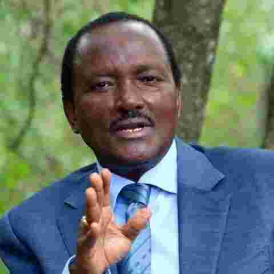 Kalonzo to Vie for Presidency if Not Named Raila's Running Mate, Senator Mutula Kilonzo Jr Says 