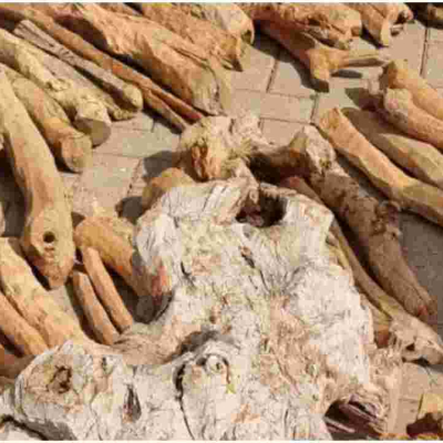 Five Kenyans Arrested Smuggling 1,500 Kilograms of Endangered Sandalwood Worth Sh6 Million