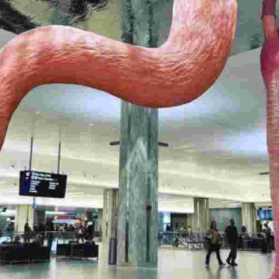 Susan Kihika's Plan to Install Ksh 72M US Airport Sculpture in Nakuru