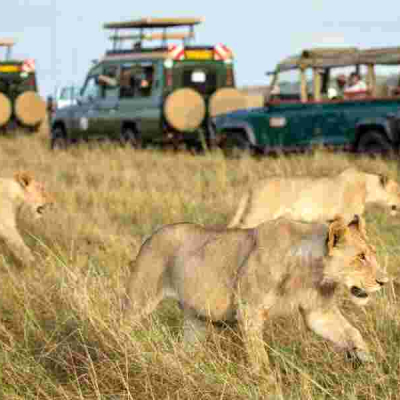 Kenya Ranked Among Top Destinations Worldwide by UK Citizens