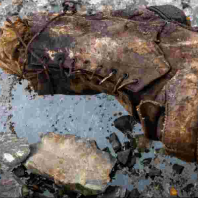 Everest Climber's Foot Found After 100 Years of Mystery 