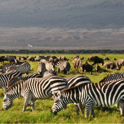 Kenya Sets 7M Tourist Goal by 2027 as France and Spain Already Attract Over 90M Annually