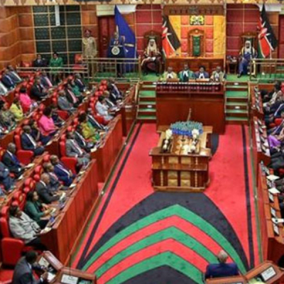 Kenyan Senators Urge Government to Address Homelessness Before Closing Children's Homes