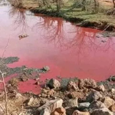 Why Lake Bogoria’s Waters Suddenly Turned Red