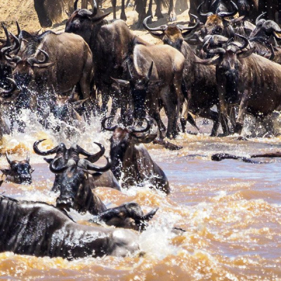 Africa’s Tourism Sector Faces Hurdles in Adopting Digital Technology