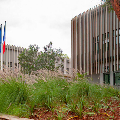 Kenyan Graduates Invited to Teach in France Through Embassy Initiative
