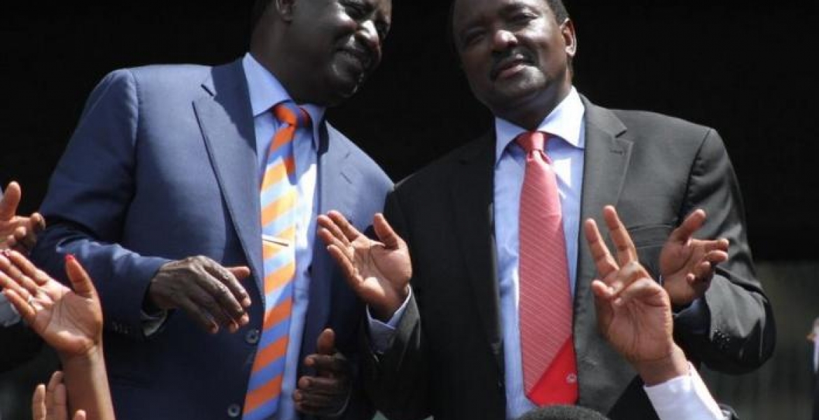 NASA Says Kalonzo Could Be 'Sworn in' as Deputy President in Germany