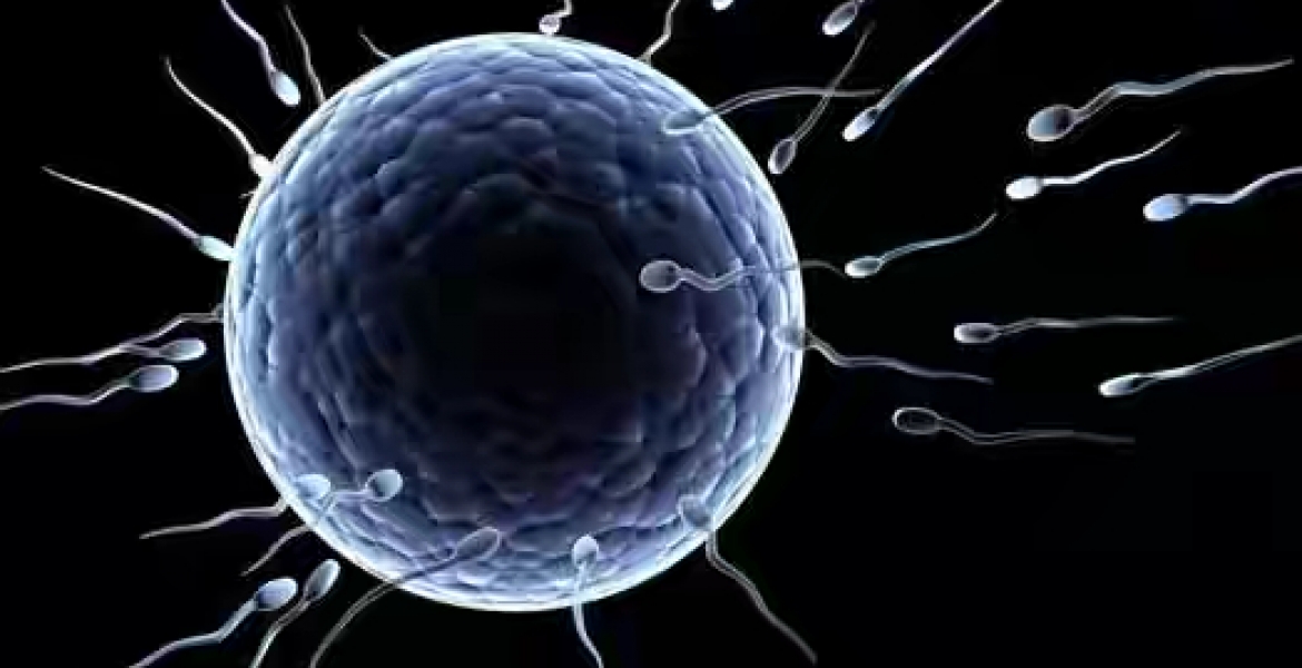 Kenyan Men Selected for Global Trial of a Male Birth Control Gel