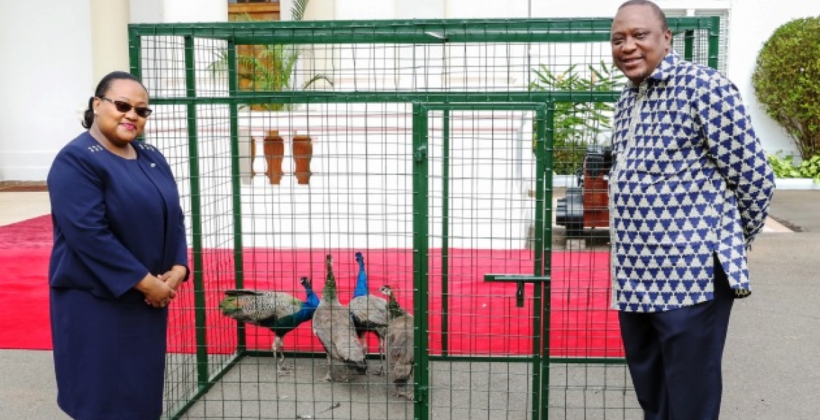 Uhuru Receives Special Gift of Peacocks from Tanzania President Magufuli