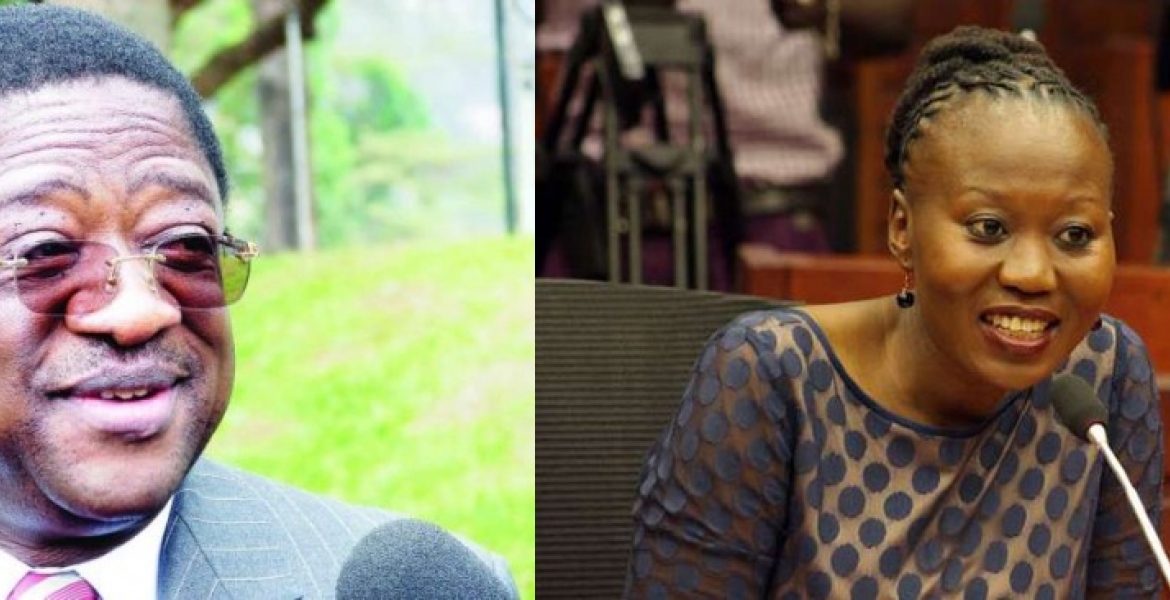 Roselyn Akombe Reminds Senator Amos Wako Why He was Banned from the US