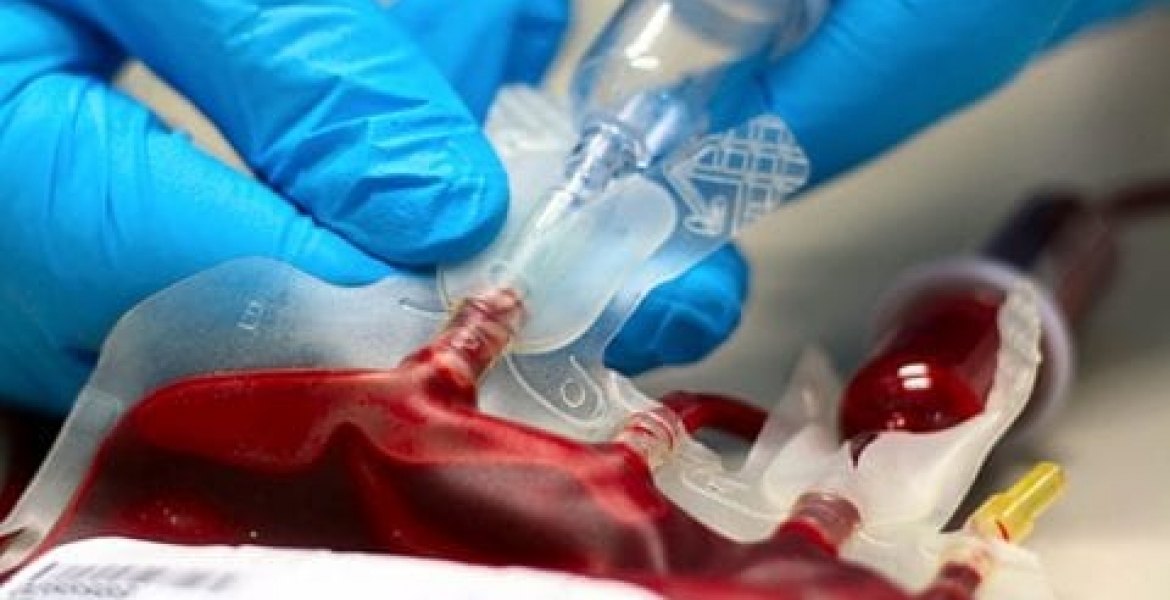 Kenyan Woman Attempts to Sell Her Blood to Raise School Fees for Daughter Who Scored 380 Marks