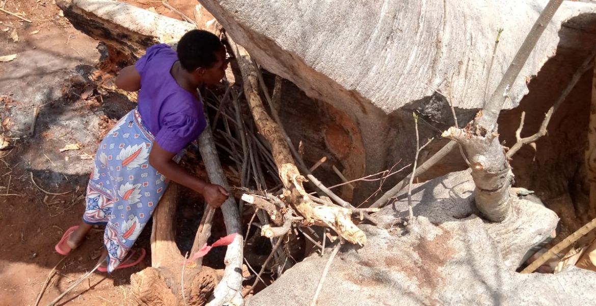 Pregnant Kenyan Woman and Her 6 Kids Live Inside Tree Stump for Months [PHOTOS]