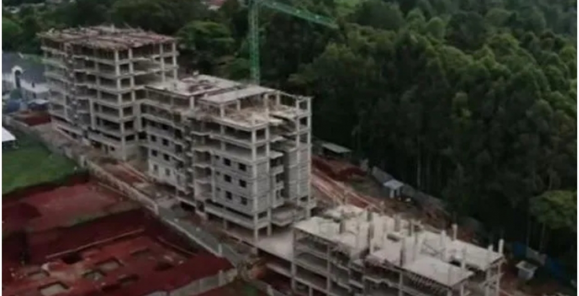 300 Kenyans Based in the US Team Up to Build Posh Estate in Kitisuru, Nairobi