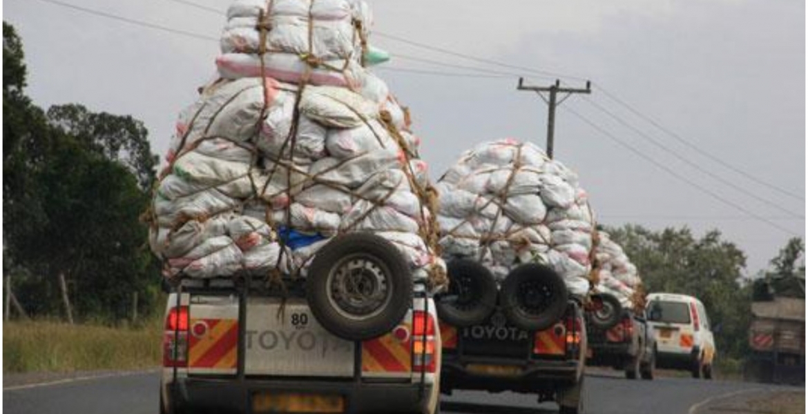 Suspected Al-Shabaab Militants Hijack Miraa Pickup Truck, Drive Off to Somalia
