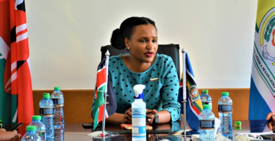 Diaspora PS Roseline Njogu Reveals Gov’t Plan for Kenyans Abroad